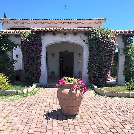 Terra Di Gallura 3* بودوني